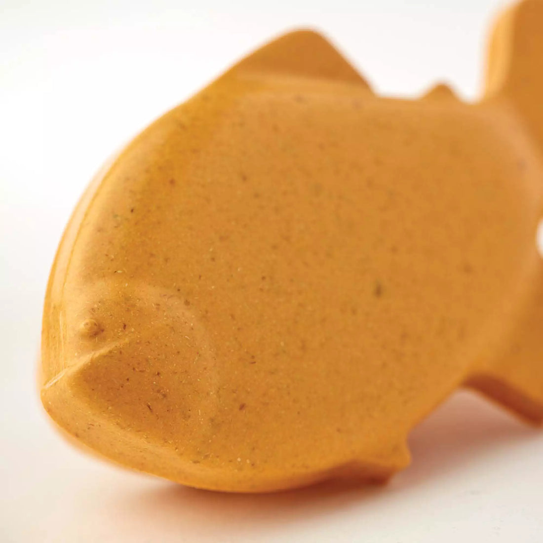 Pet Cremation Urns for Unconventional Pets: Tailored Designs for Special Companions