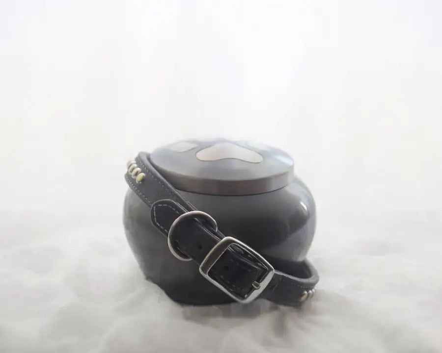 Pet Urns 101: Everything You Should Know About Dog Urns