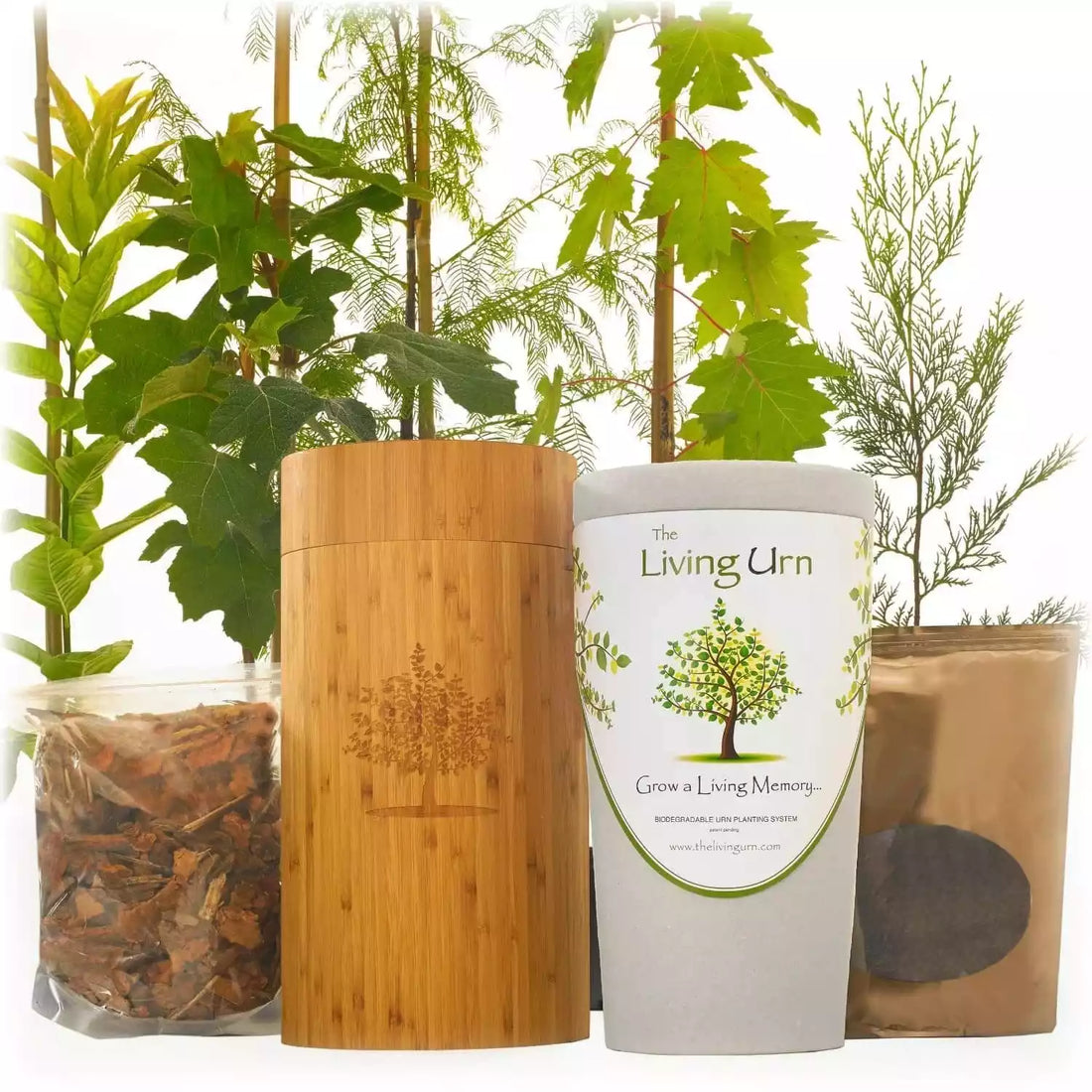 Exploring Wooden Pet Keepsake Urns: Rustic and Natural Memorial Options