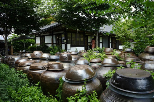 6 Different Types Of Pet Urns That You Can Choose From