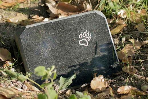 Do Pets Need A Headstone?