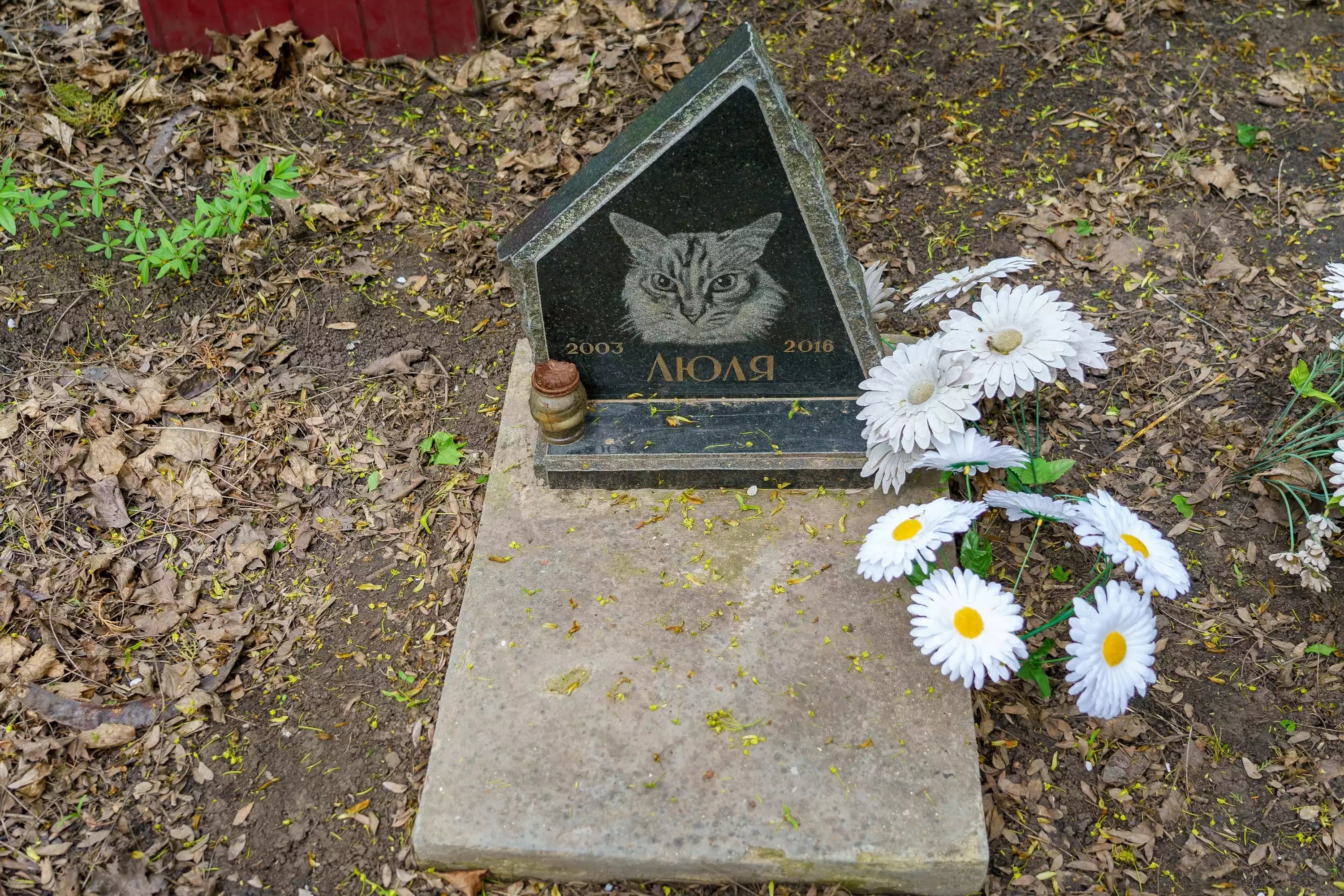 Pet Coffins for Burial on Family Property: Legalities and Considerations