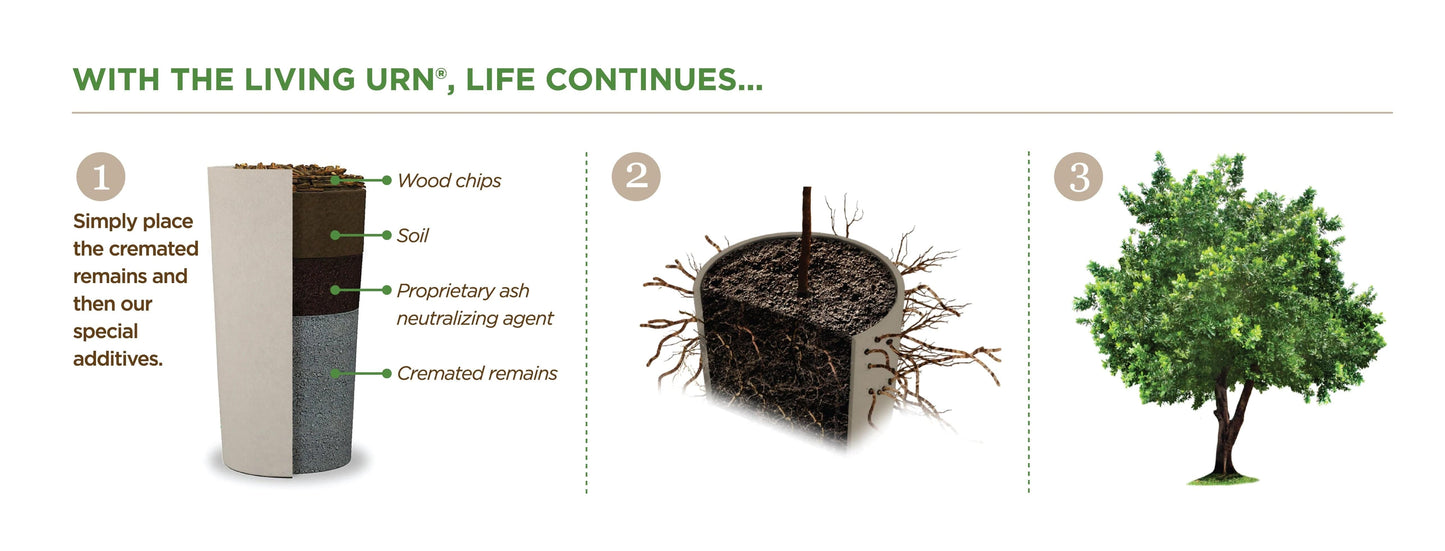 Living Tree Pet Urn | The Living Urn