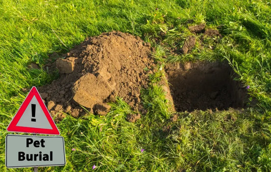 State And Local Pet Burial Laws In The United States