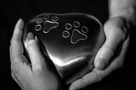 What to Do With Your Pet's Ashes: 12 Thoughtful Ideas (Jewelry, Burial & More)