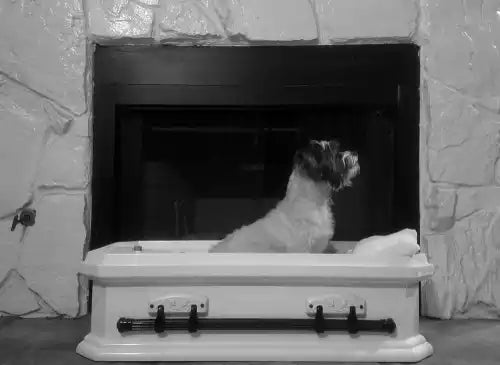The Role of Pet Coffins in Pet Funeral Services