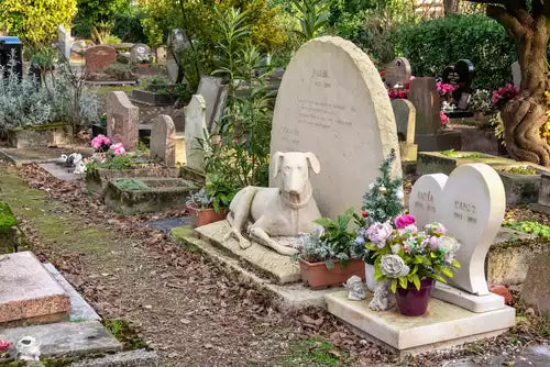 Pet Coffins for Memorial Gardens: Integrating with Natural Landscapes