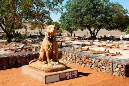 Pet Funeral Locations: Choosing the Right Venue for the Service