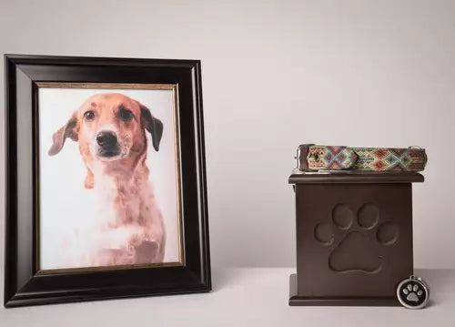 Pet Cremation Urns for Service Animals: Recognizing Their Dedicated Service