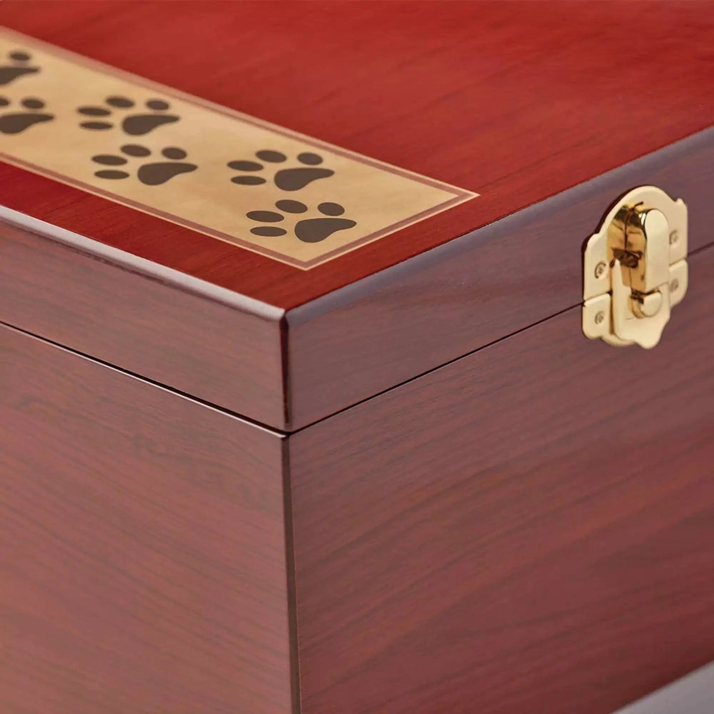 Paw Print Memory Chest