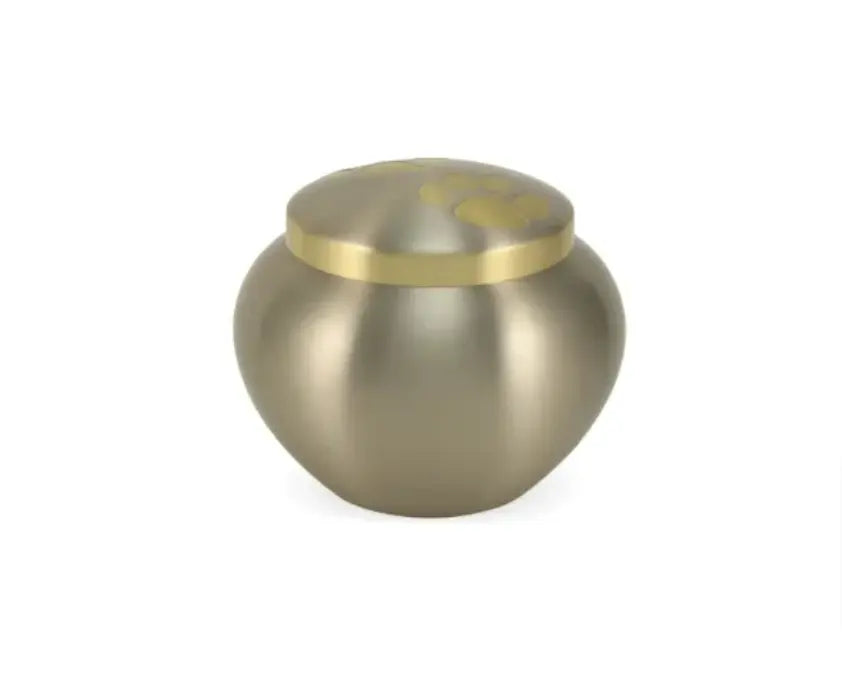 Load image into Gallery viewer, Odyssey® Paw Pewter Pet Urn

