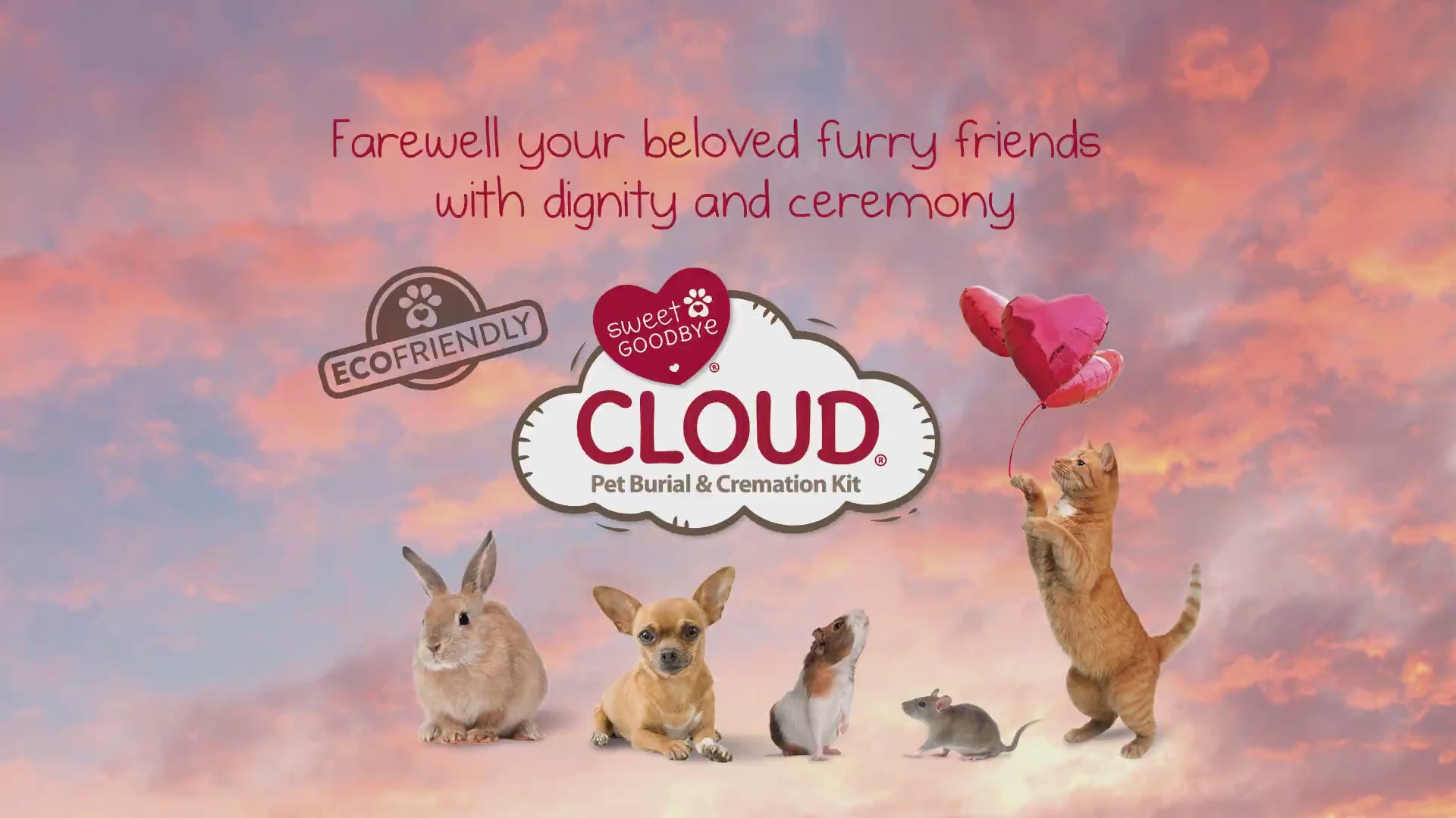 Load and play video in Gallery viewer, Sweet Goodbye CLOUD® | Grey
