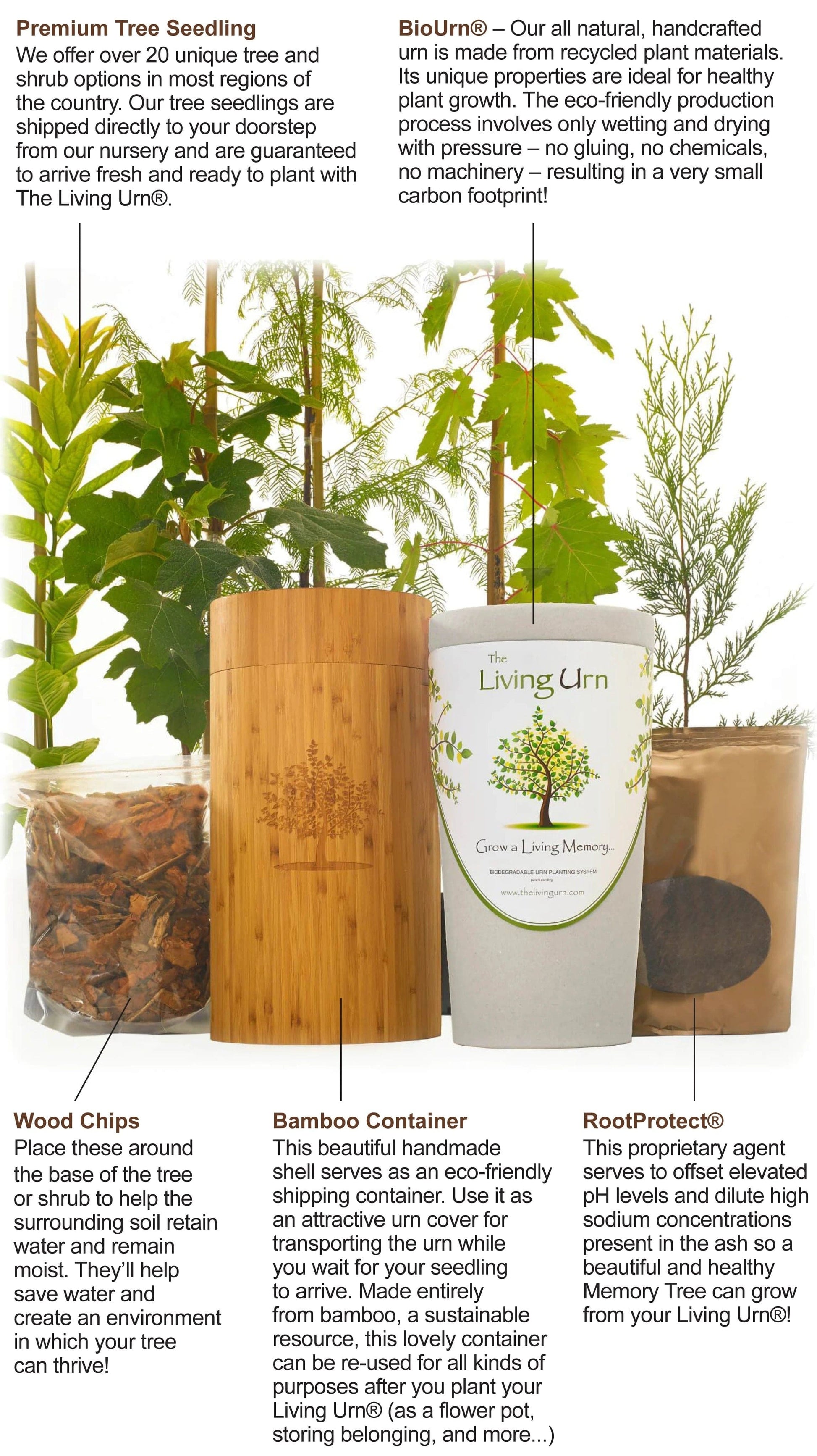 pet ashes plant pot Eco Friendly Pet Tree Urn - The Living Urn | Become a Tree after Death – Titan Casket